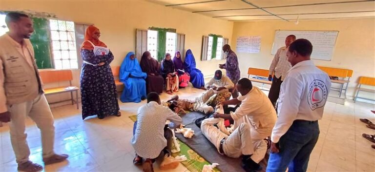 The First Link: First Aid in Action.