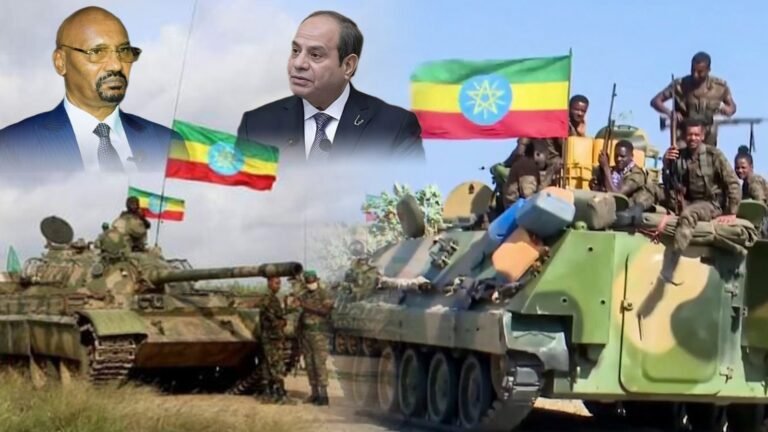 {DAAWO MUQAALKA} Itoobiya oo Ururka Jaamacada Carabta ku eedeeysay ineey la safatay Masar.