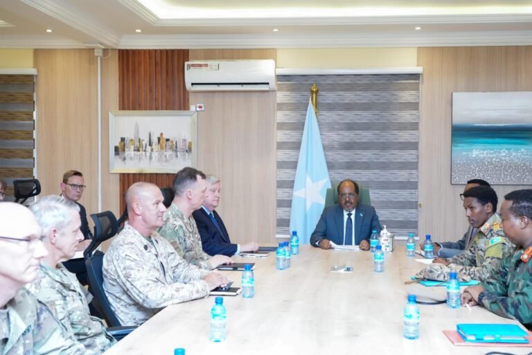 Somali President meets new U.S. AFRICOM commander in Mogadishu