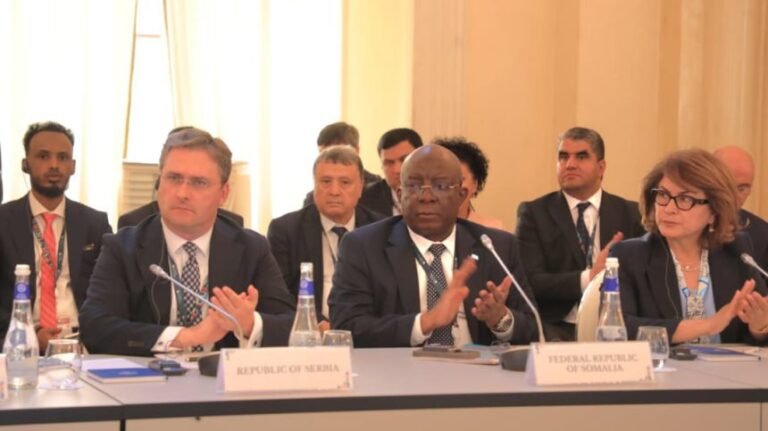Somali Minister of Information Participates in St. Petersburg Forum, Heralds Culture as a Diplomatic Tool