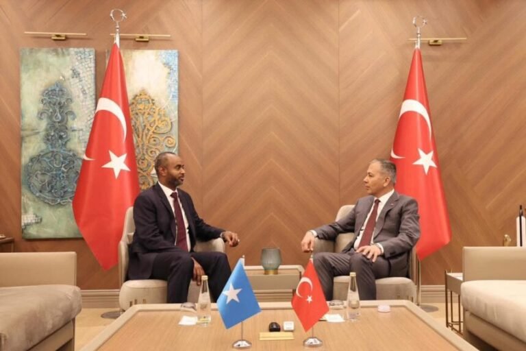 Somali Minister of Ports Meets with Turkish Interior Minister to Strengthen Cooperation