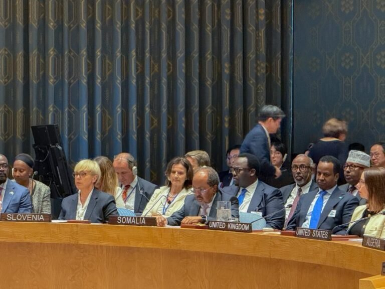 Somali President Addresses UN Security Council on AI and Global Security