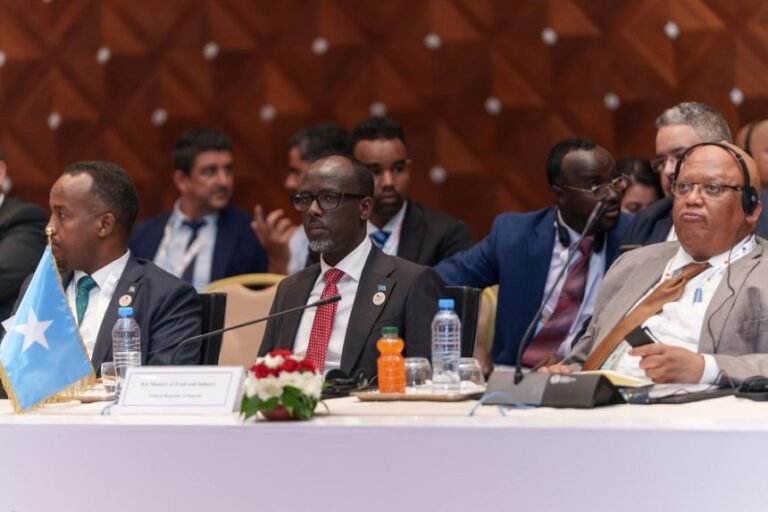 Somali Trade Minister Participates in AfCFTA Ministerial Dialogue in Algeria