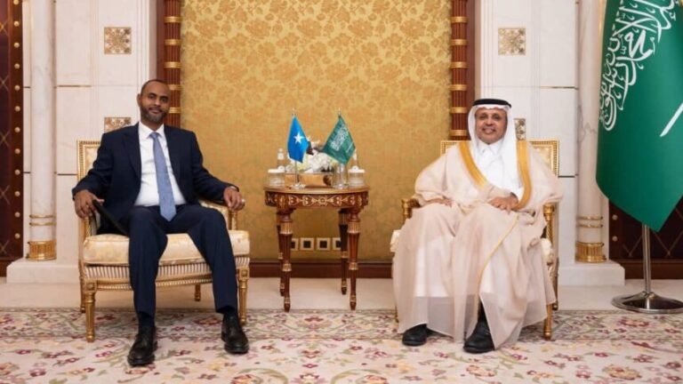 Somalia’s Minister of Ports and Saudi Deputy Minister of Transport Discuss Strengthening Maritime Ties