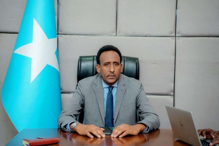 Dowladda Soomaaliya oo dajisay nidaam aysan dalka uga bixi karin xubnaha Shabaab iyo Daacish?