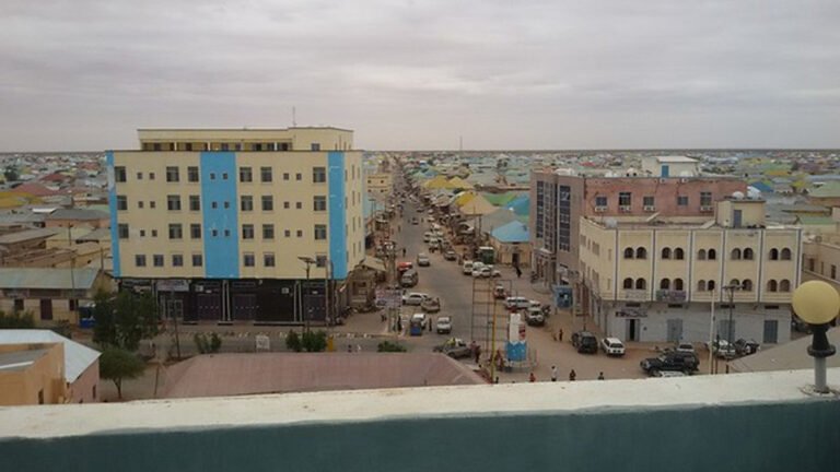 {DAAWO MUQAALKA} Faah faahin Dil Ganacsade loogu Geeystay Magaalada Gaalkacyo.