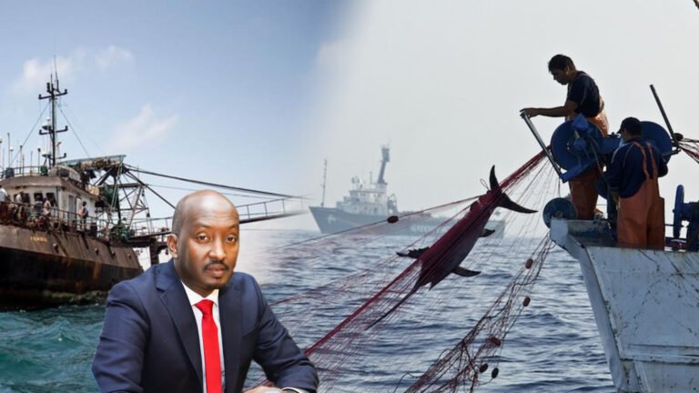 {DAAWO MUQAALKA} Kalluumeeysiga sharci Darada ah oo kusoo Batay Soomaaliya.