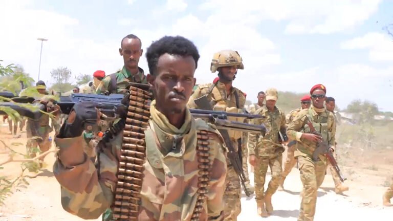 Somali intelligence kills senior AS  leader linked to major 2025 attacks