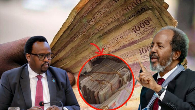 {DAAWO MUQAALKA} Dhaqaale intee la’eg ayaa ka hortaagan DFS in la daabaco lacagta shiling Soomaaliga?