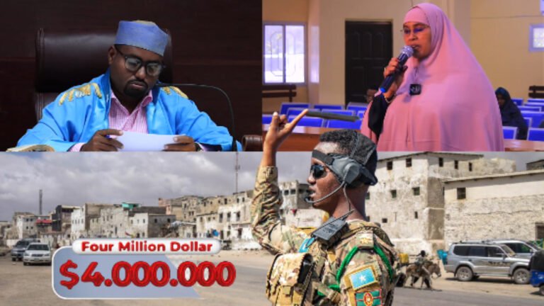 {DAAWO MUQAALKA} Afar malyan oo Dollar ayeey AS u marsiisay Akoonkeeda.