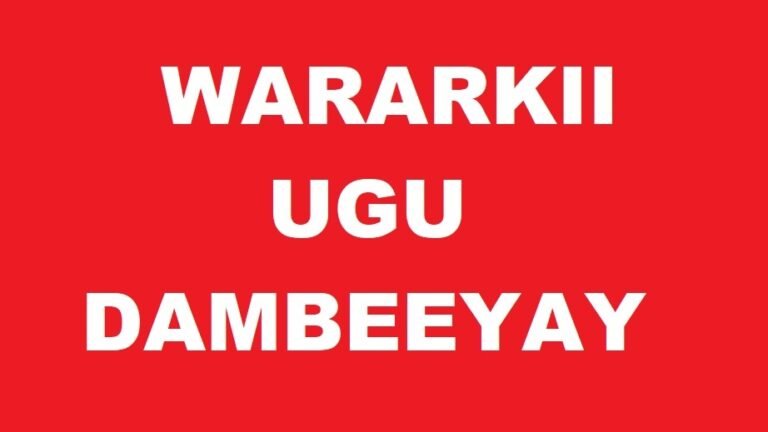 Hamas says it agrees to release all Israeli hostages under Trump Gaza plan.