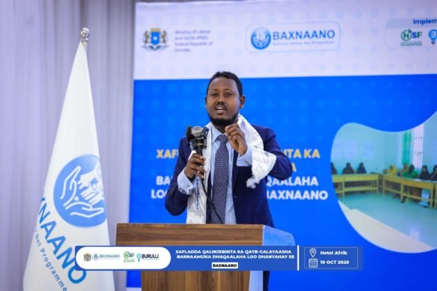 DFS oo ku dhawaaqday in bilaha soo socda dhalinyaro badan shaqo abuur loo sameynayo.