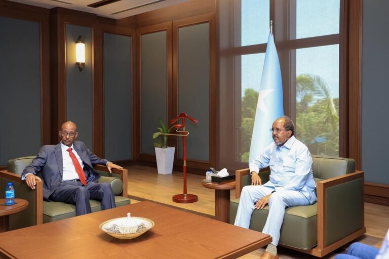 Madaxweynaha Soomaaliya, oo qaabilay Guddoomiyaha Wakiilada Waqooyi Bari Soomaaliya.