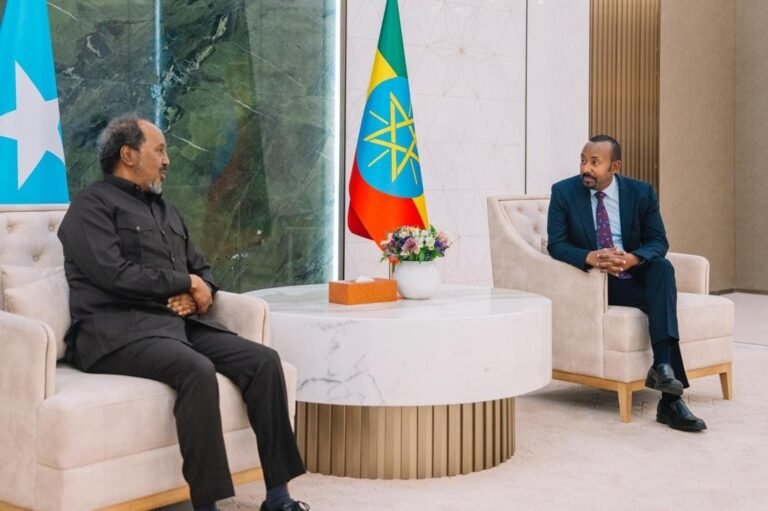 President of the Federal Republic of Somalia discussed with the Prime Minister Abiy Ahmed.