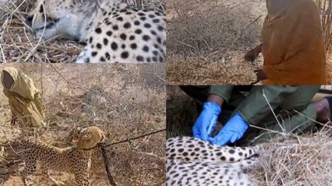 Kenya oo Qoys Soomaaliyeed kala wareegtay Haramacad .