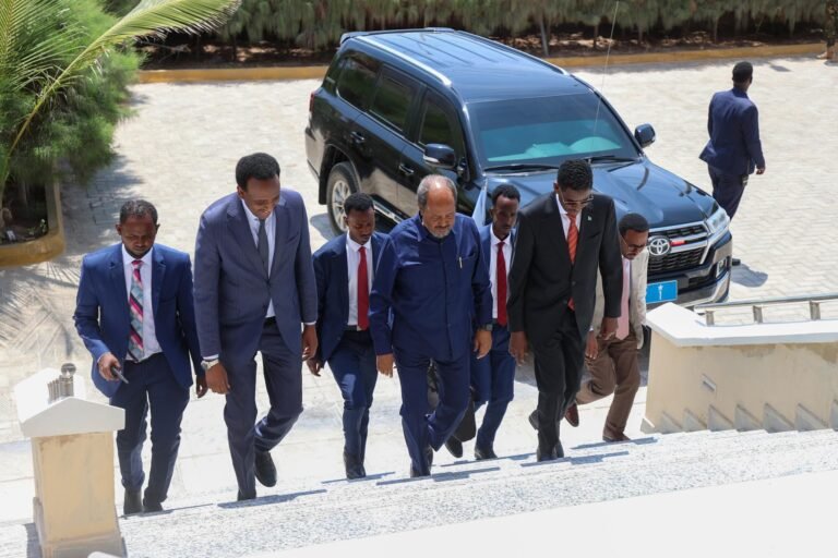 {DAAWO SAWIRADA} Madaxweyne Xasan Shiikh oo boggaadiyay Nidaamka E-visa.