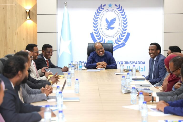 President Hassan Sheikh launches the E-visa System.
