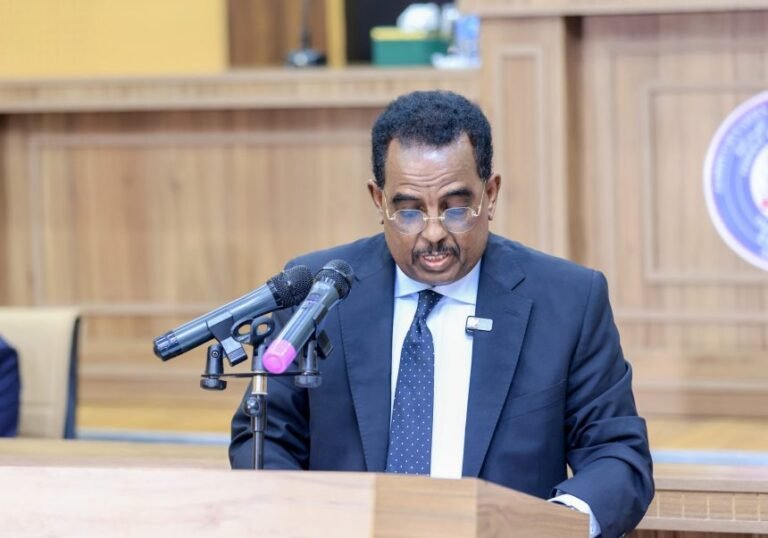 Minister of Interior presents first reading of the IDP Bill