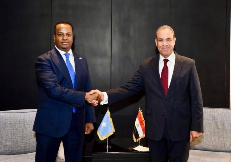 Somali FM Discusses Strengthening Ties with Egyptian Counterpart at Aswan Forum.