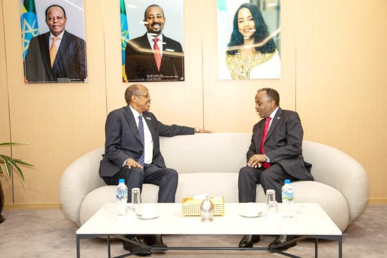 Somali State Minister for Foreign Affairs Meets AU Chair in Addis Ababa.