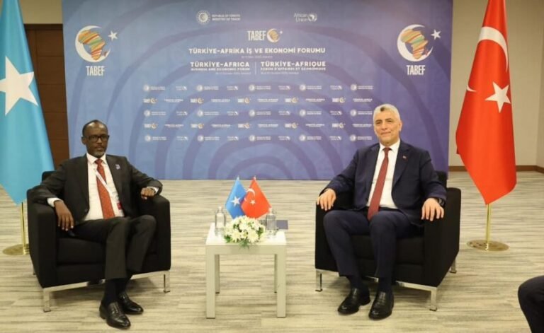 Somalia, Turkey Discuss Strengthening Trade and Market Access