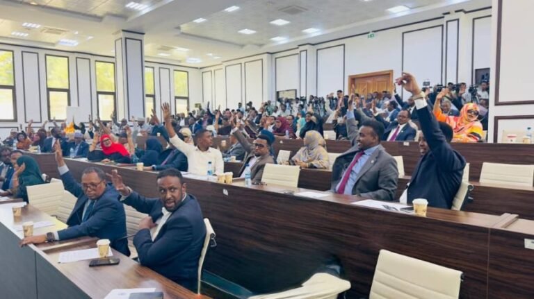 Somalia’s Parliament Ratifies African Children’s Charter