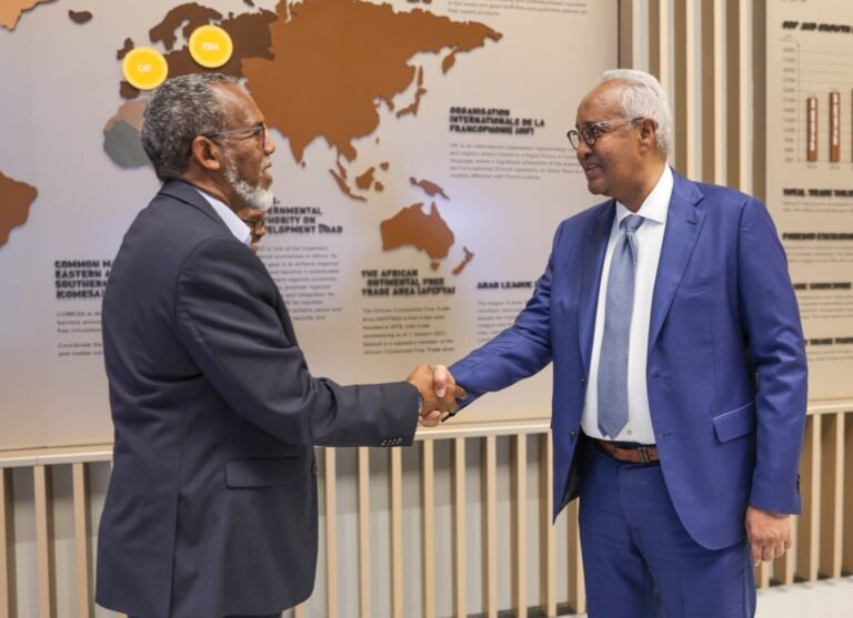 Maxay wadaagi karaan Dekedaha Soomaaliya iyo Jabuuti?