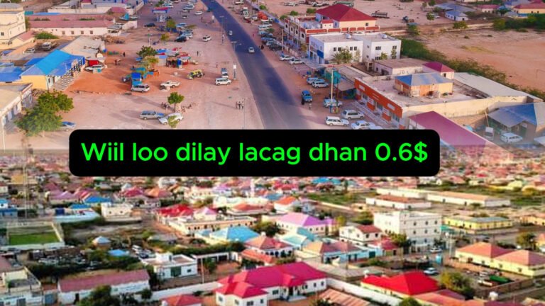 {DAAWO MUQAALKA} Faah-Faahin Nin Magaalada Gaalkacyo luugu Dilay Lacag ka Yar 1$ Dollar.