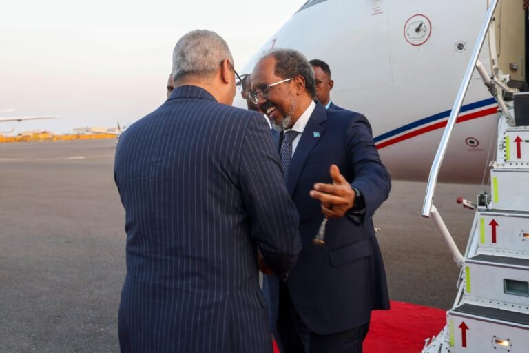 Madaxweyne Xasan Shiikh iyo wafdi uu hoggaaminayo ayaa si diiran loogu soo dhoweeyey Jabuuti.