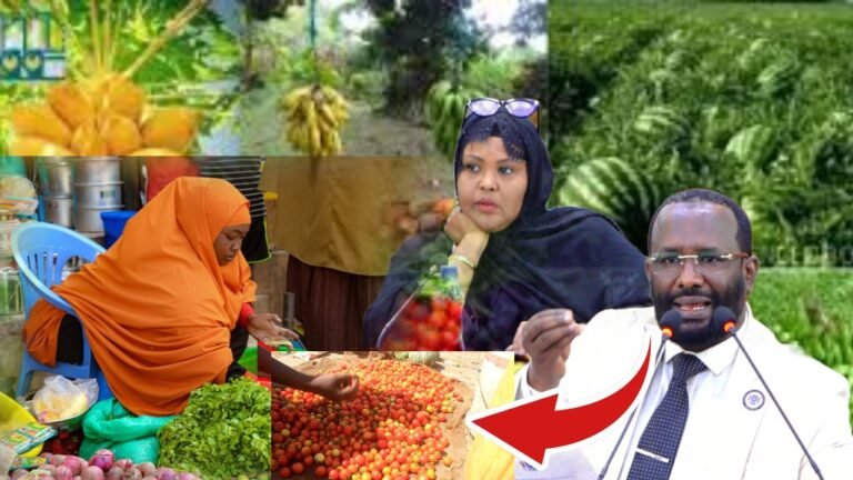 {DAAWO MUQAALKA}  Xukumadda Soomaaliya oo diiday qoddobo ku jira Sharciga Axdiga Xuquuqda Carruurta Afrika