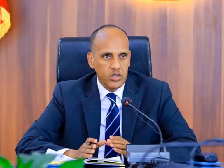 Madaxweyne Cagjar oo sheegay in Shidaalka DDS 50% la siiyo Federaalka?