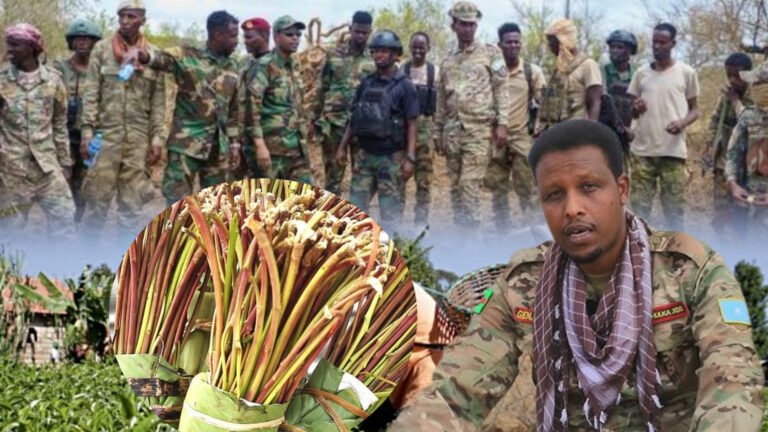 {DAAWO MUQAALKA} Taliye Sahal ”Jaad waa ka mamnuuc Xeryaha Ciidamada cidii lagu arkaane makamad ayaa la geeynaa”