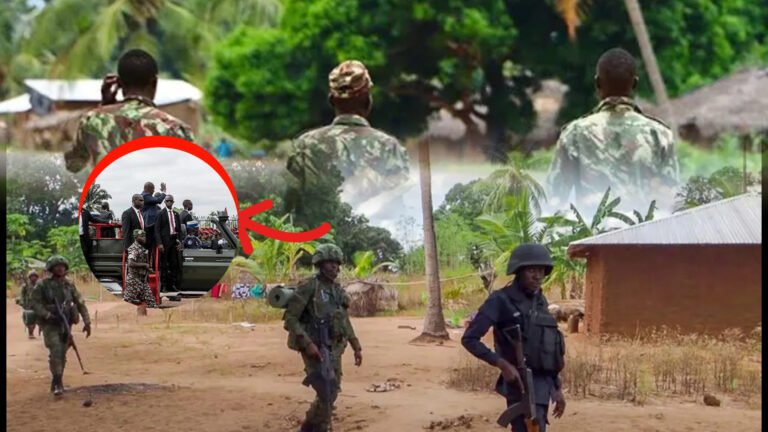 {DAAWO MUQAALKA}  Soomaali lagu eedeyey ineey weerar Argagixiso ka Geeysatay Mozambique