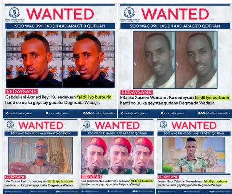 Booliska Gobolka Banaadir oo raadinaayo Shan edeeysane.