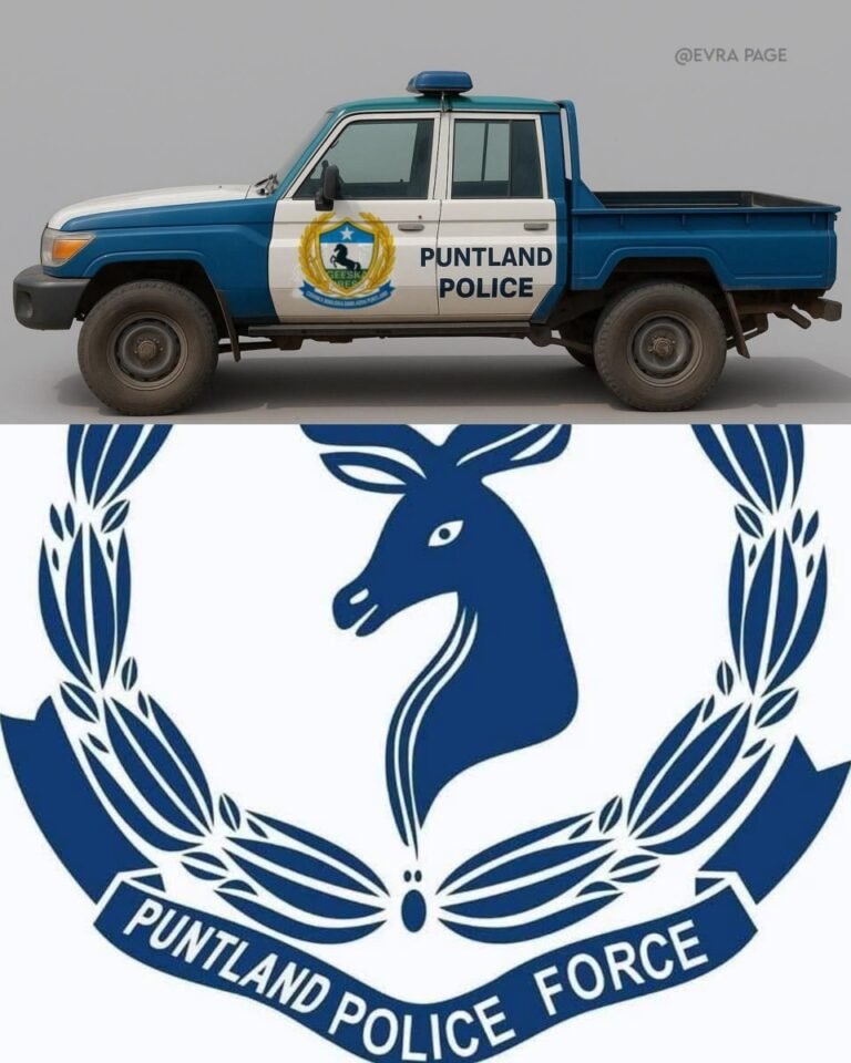 Saciid Dani oo Badalay Astaanta Booliska Puntland.