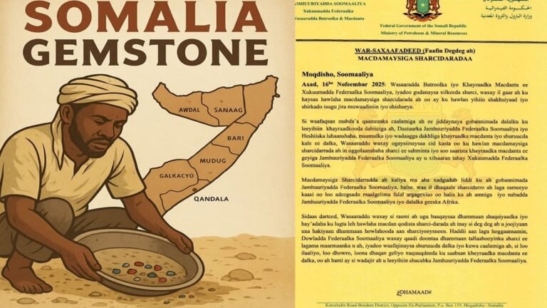 DFS oo ku dhawaaqday in ay tallaabo kaqaadeyso dadka Macdan-qodista ka sameeyo Soomaaliya.