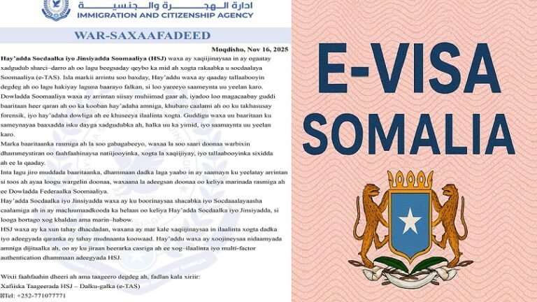 Soomaaliya oo sheegtay in ay diyaar u tahay la wadaagista Somaliland dakhliga kasoo baxa Nidaamka e-Visa