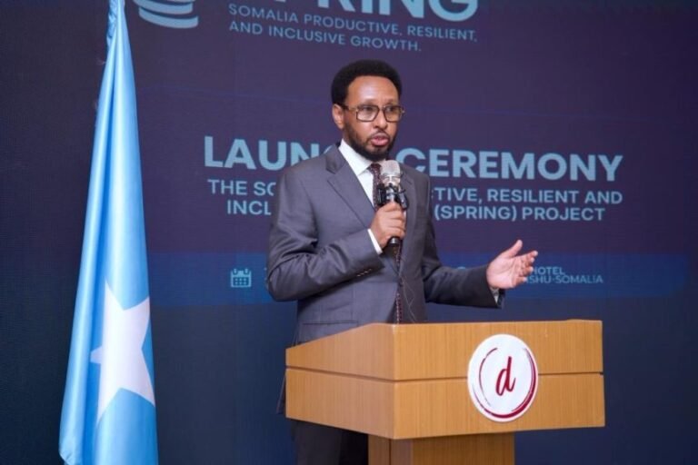Finance Minister launches SPRING project, an initiative aimed at boosting economic development