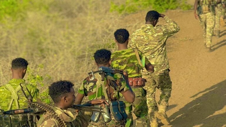 Ciidanka DFS oo qaaday howlgallo lagu burburinaayo goobo Fariisimo u ahaa AS.