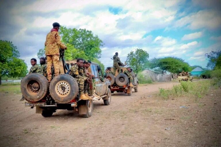 Somali Danab Forces, Jubaland troops kill 14 AS  fighters in Lower Juba region
