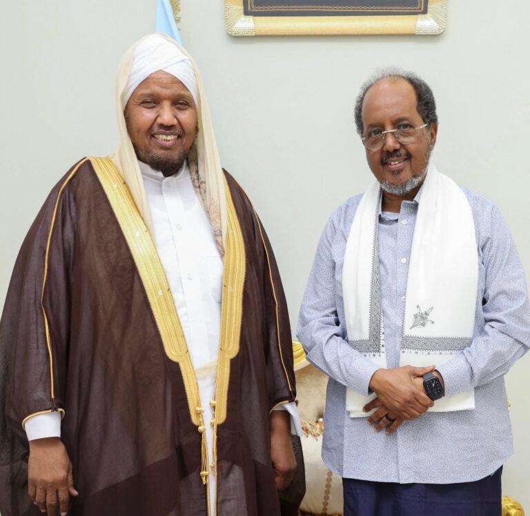 {DAAWO SAWIRADA} Madaxweyne Xasan oo qaabilay Caalimka Soomaaliyeed ee Shiikh C.rashiid Cali Suufi.