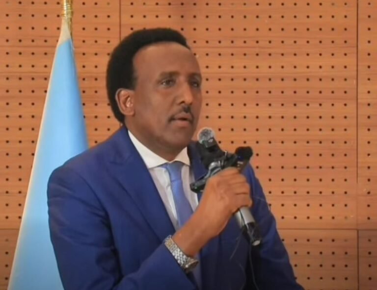 Somalia shuts down E-TAS system after major security breach exposes travelers data