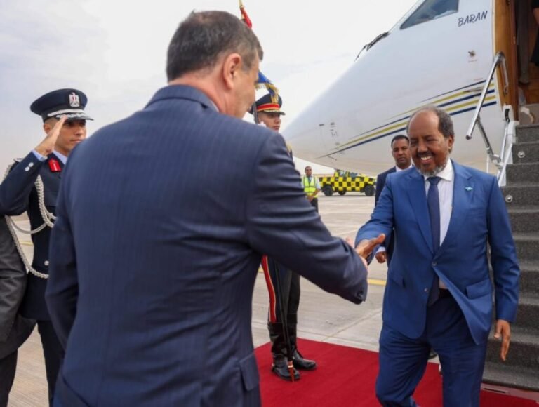 President Hassan Sheikh Arrives in Cairo for the Opening of the Grand Egyptian Museum