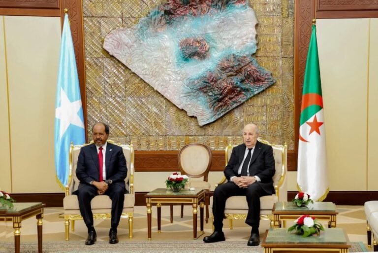 President Hassan Sheikh Holds High-Level Talks with Algerian Counterpart in Algiers