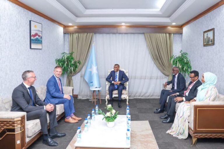 Prime Minister Hamza Meets German Ambassador to Strengthen Bilateral Cooperation