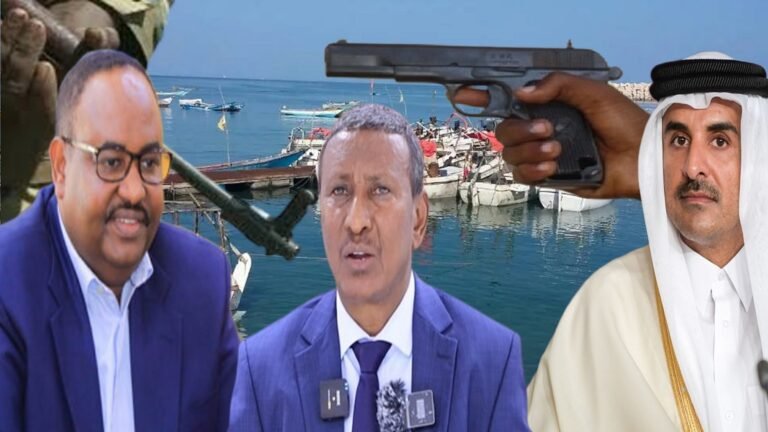 Puntland accuses Qatar of being behind the assassination of DP World chief at Bosaso port.