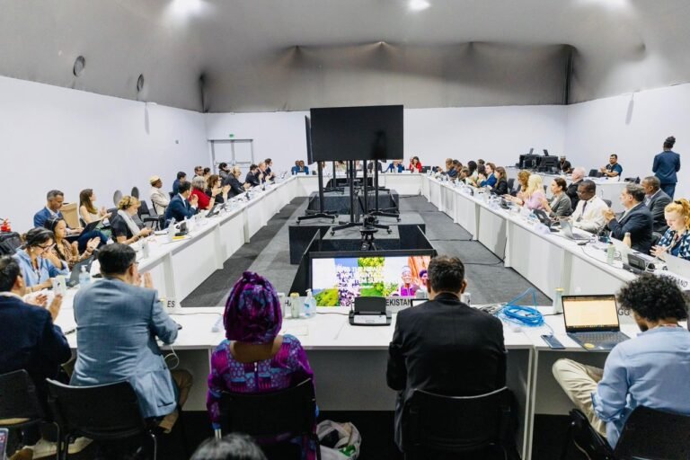 Qaramada Midoobay oo Soomaaliya Balad qaad Cusub u Sameeysay.