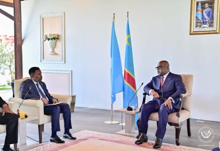 Somali Ambassador Presents Credentials to D.R.C. President in Kinshasa