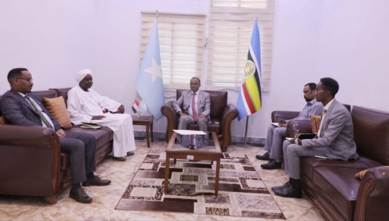 Somali State Minister for Foreign Affairs Receives Sudanese Ambassador
