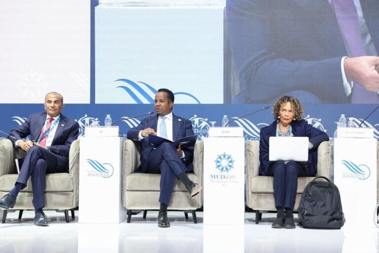 Somali FM Calls for Strong National Sovereignty at Tangier MEDays Panel.